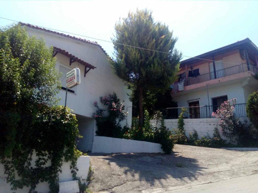 Ilias Appartements Tsaprounis Ellinika  外观 照片