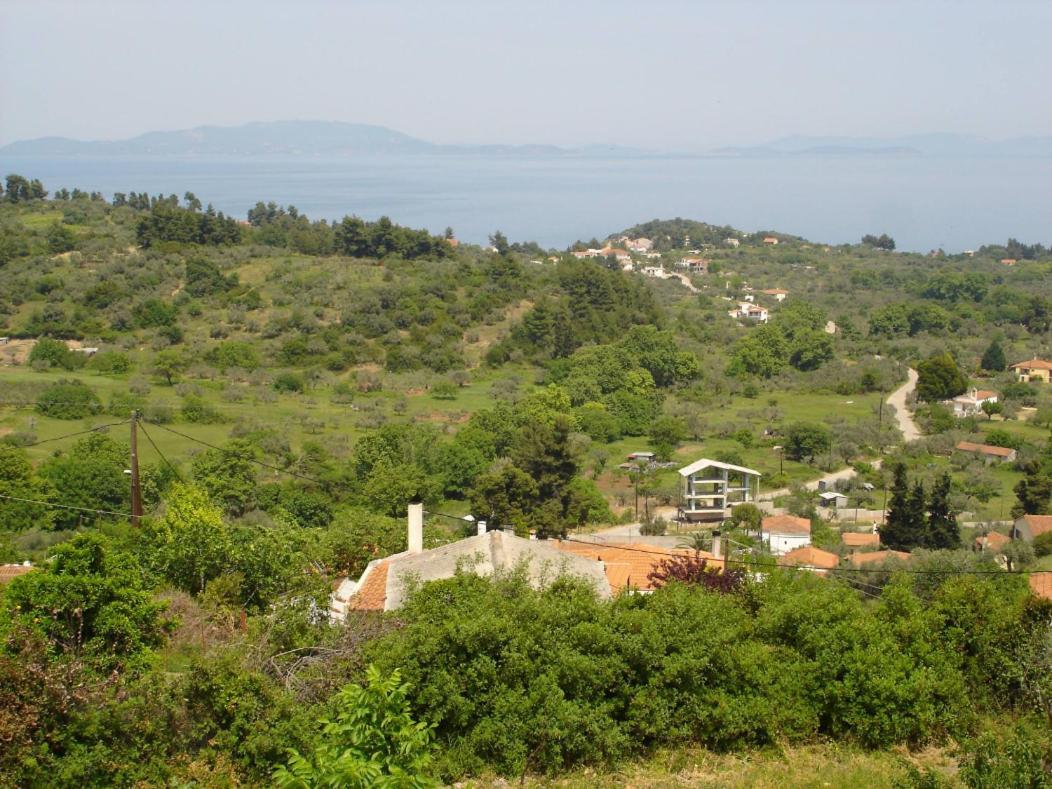 Ilias Appartements Tsaprounis Ellinika  外观 照片